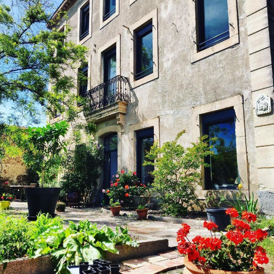 La Villa Du Chai Lezignan-Corbieres Ngoại thất bức ảnh